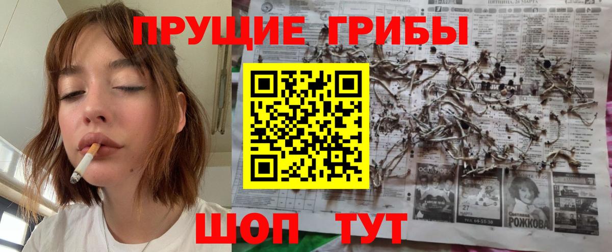 Галлюциногенные грибы Psilocybe  Вход с VPN  Галлюциногенные грибы Cubensis  Богородск 