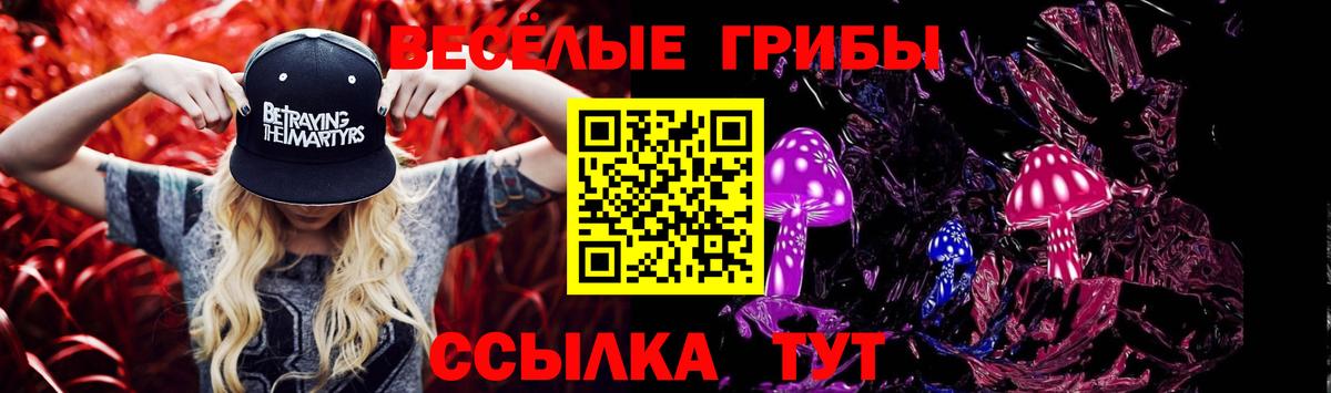 Псилоцибиновые грибы MAGIC MUSHROOMS Богородск